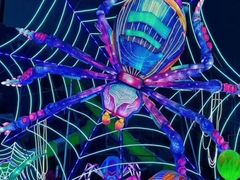 -淄博花灯齐彩城