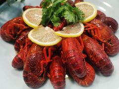 -金龙·打边炉(南京西路店)