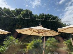 -亚特兰蒂斯·蟹餐厅 CRAB KITCHEN·鲜活海鲜