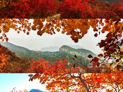 -周口店坡峰岭风景区
