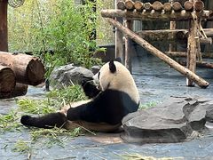 -上海野生动物园