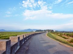 -漩门湾国家湿地公园