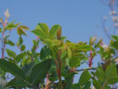-樱桃山旅游景区