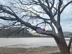 -外蒲山