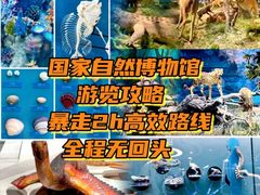 -国家自然博物馆