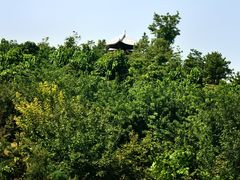 -马家湾湿地公园