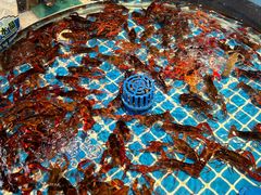 -争先鲜·蒸汽海鲜自助·鲜切牛肉