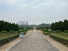 -南沙蒲洲花园