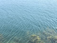 -抚仙湖禄充风景区