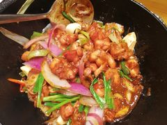 生蕨清远鸡-锦珍锦顺德开煲(农科路店)