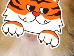 -汪喵宠物医院·骨科心脏影像·犬猫急重症ICU诊疗中心(成华分院)