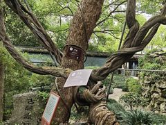 -绮园景区