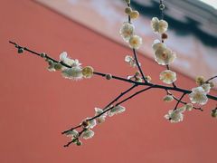 -钱王祠