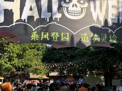 -灵玲国际马戏城