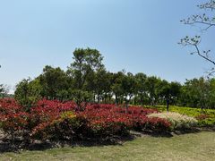 -春花秋色城市公园