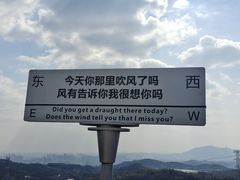 -清境桃源