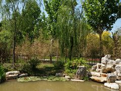 景点-武清南湖绿博园