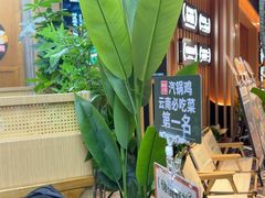 -云海肴·汽锅鸡·云南代表菜(天山百盛优客店)