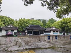 -上海佘山国家森林公园天马山园