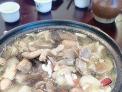 -蘑统田下·野生菌火锅