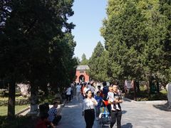 -南阳卧龙岗武侯祠
