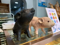 -WHEN PIGS FLY当猪飞
