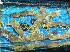 -醉壹号海鲜大排档(厦门美食地标店)