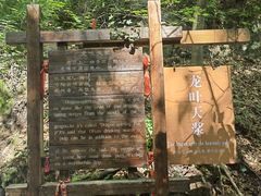 -本溪汤沟绿石谷森林公园