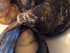 -舟山希尔顿酒店