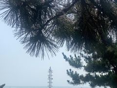 -日照灯塔风景区