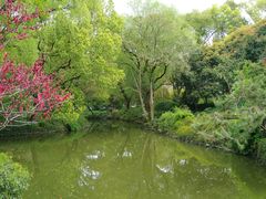 -上海醉白池公园