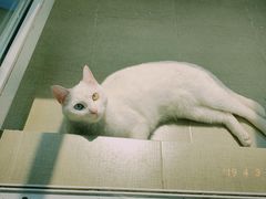 -康乐宝动物医院