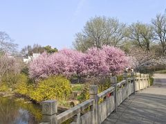 -安徽大青山野生动物世界