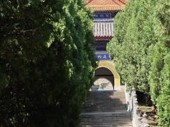 -龙口南山旅游景区