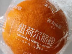 纽荷尔脐橙-沈阳市八家子水果批发市场