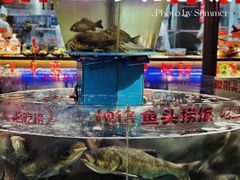 -魏铭鱼头捞饭(晋阳路店)