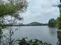 -东湖食堂·湖景餐厅•会议