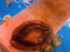 -质烤烤物·活烤海鲜(质烤总店)