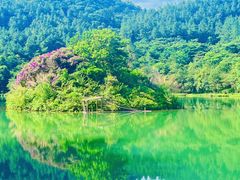 -广州白江湖森林公园