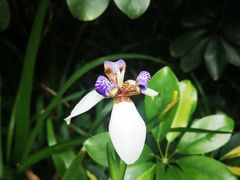 -白云山风景名胜区