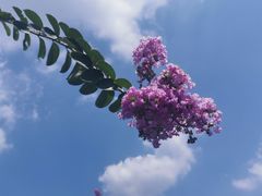 -广富林郊野公园