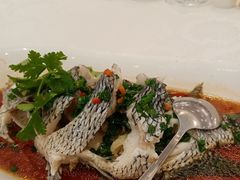 -齐家花园大酒店(宝山店)