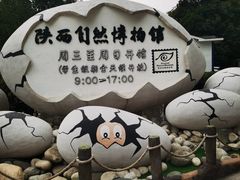 -陕西自然博物馆