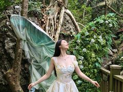 -七仙岭温泉国家森林公园