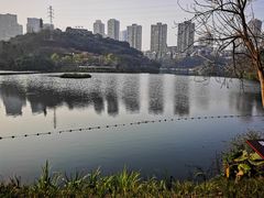 -重庆彩云湖湿地公园