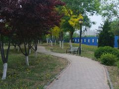 -永定河休闲森林公园