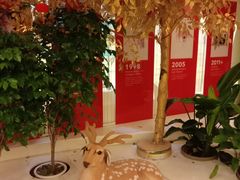 -极光口腔·矫正种植修复(锦江店)