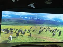 -中国湿地博物馆