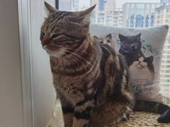 -Catmate·猫肥家润(金润铂宫店)