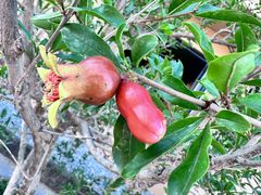 -辛庄国际文化艺术区